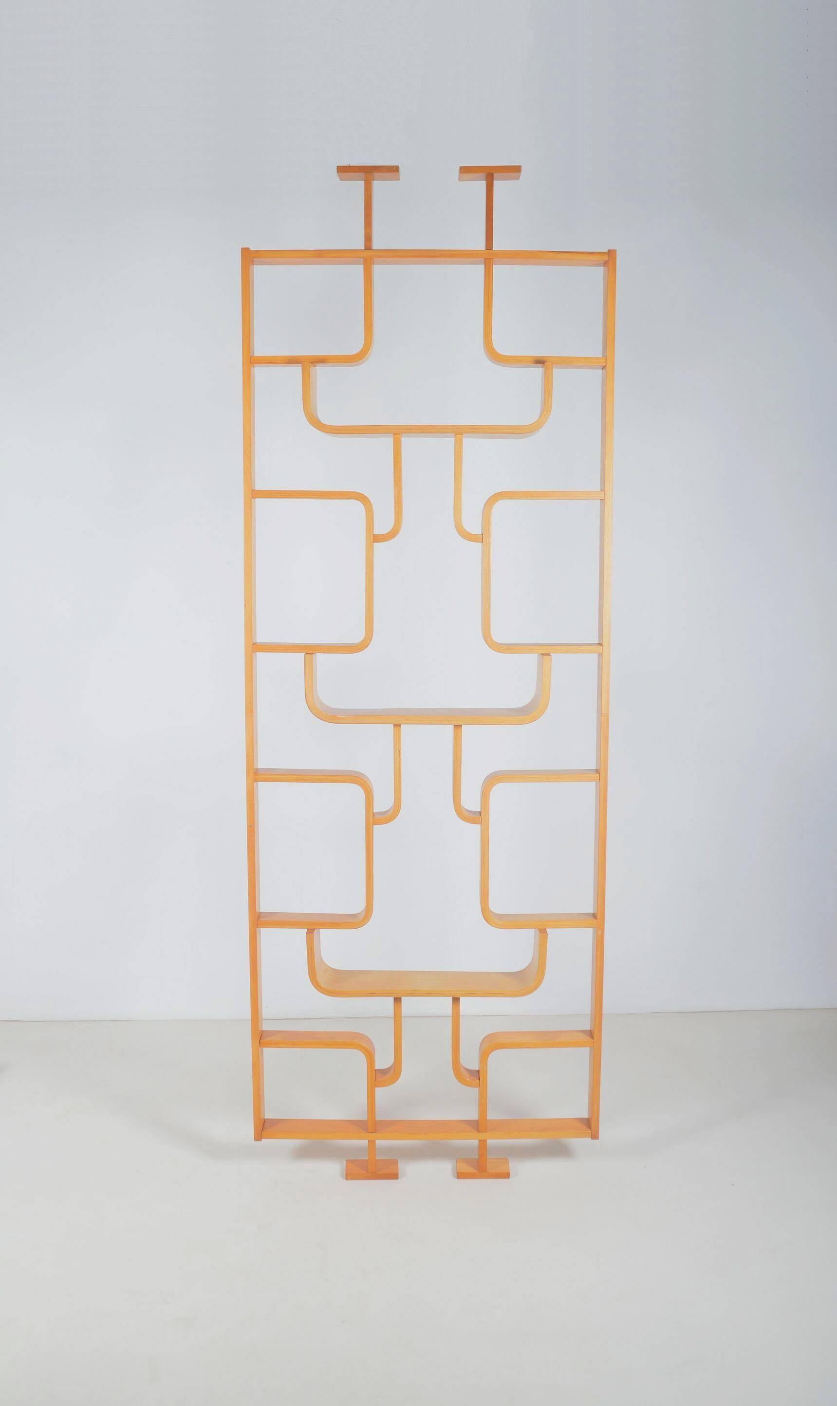 Room divider designed by Volak for Drevopodnik Holesov, 1960s