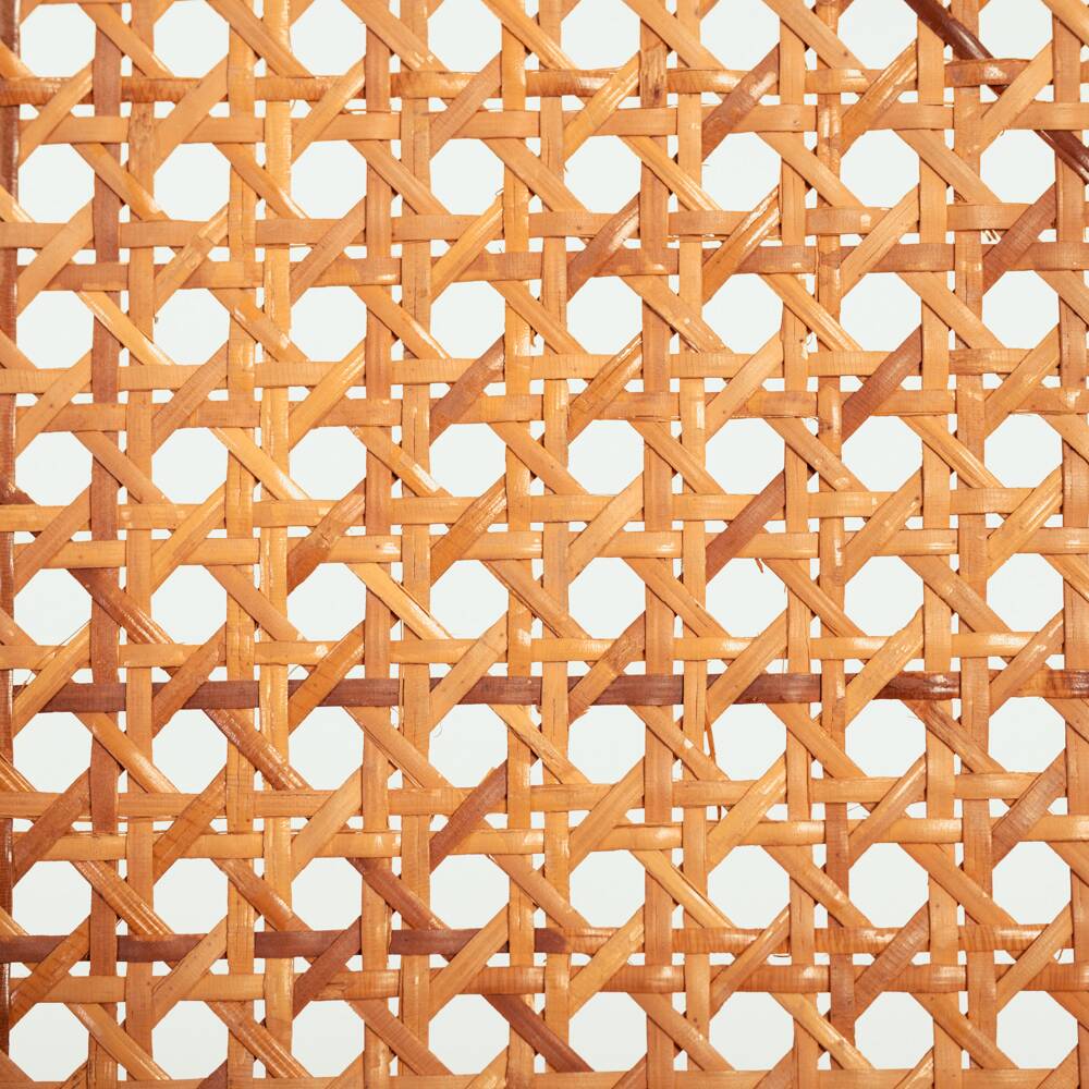Gijs Bakker folding lounge chair rattan webbing for Castelijn, 1970s