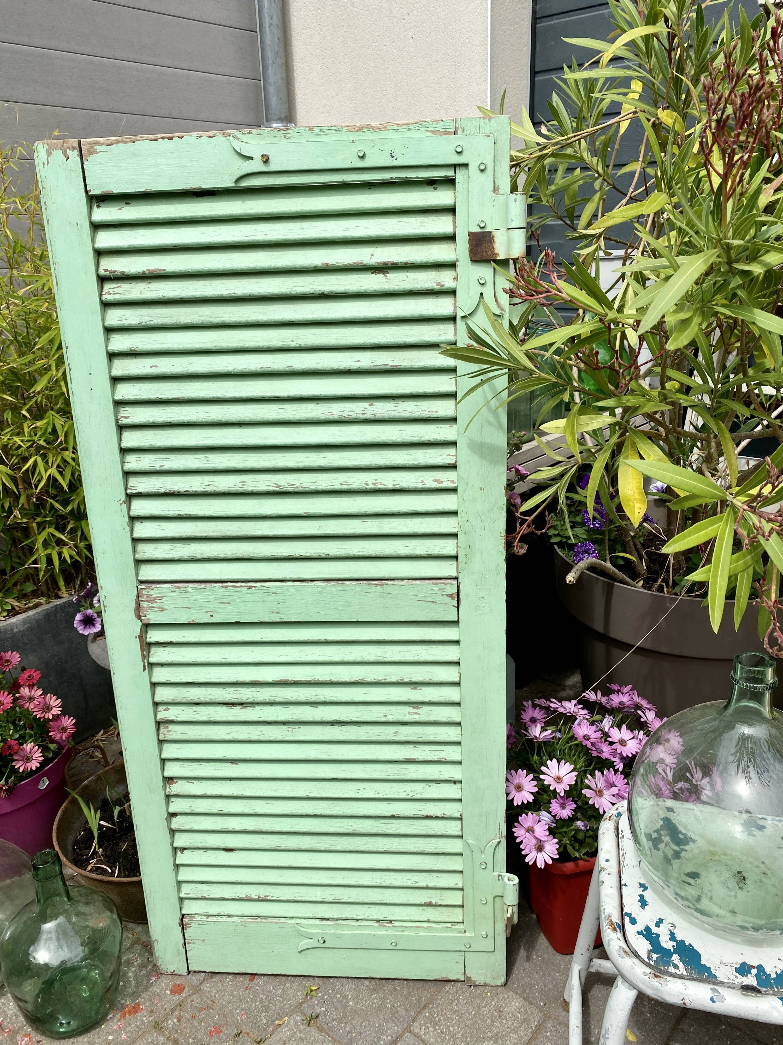 Ancient persian-coloured wood-wood mint