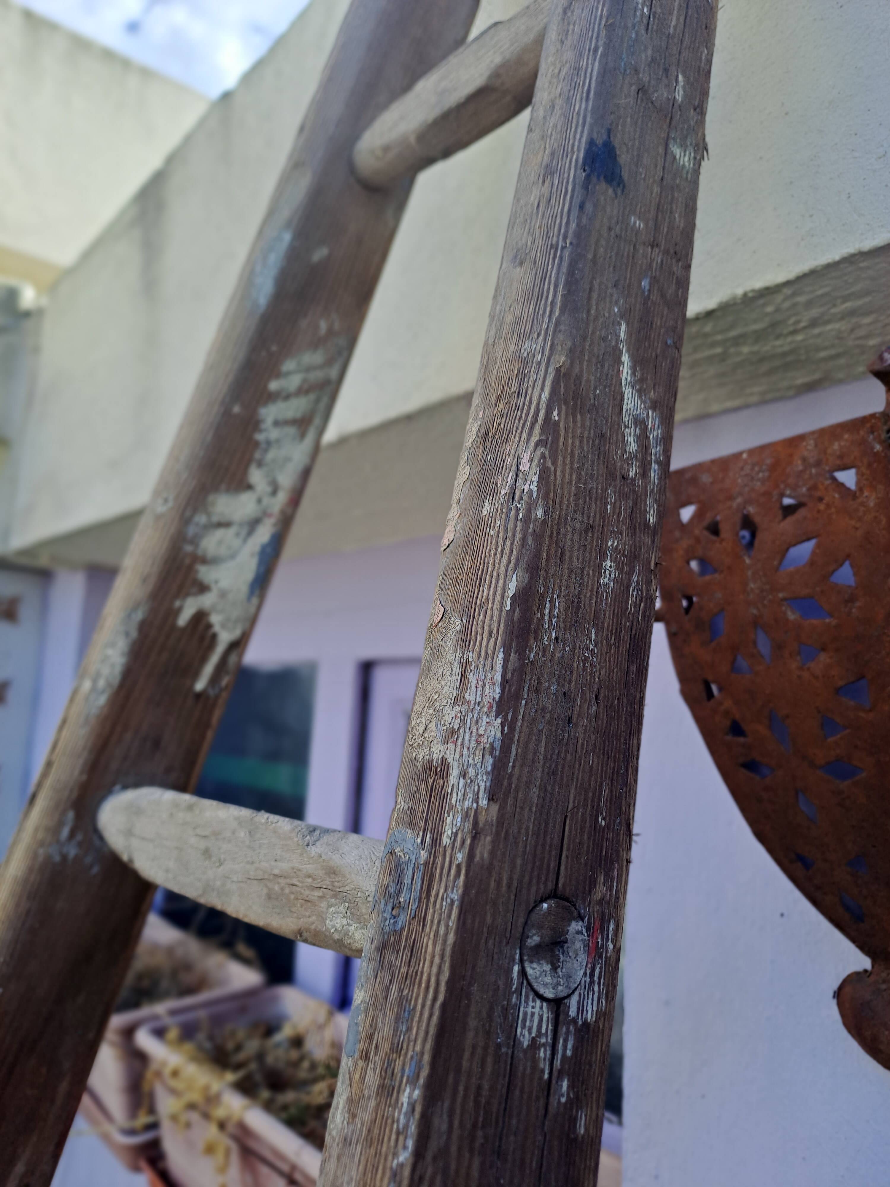 Vintage wooden picking ladder 7 rungs