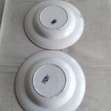 Hollow plates "Digoin"