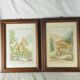 Pair of colorized mycological lithographs - Coprinus comatus, Psalliotta arvensis - 70s