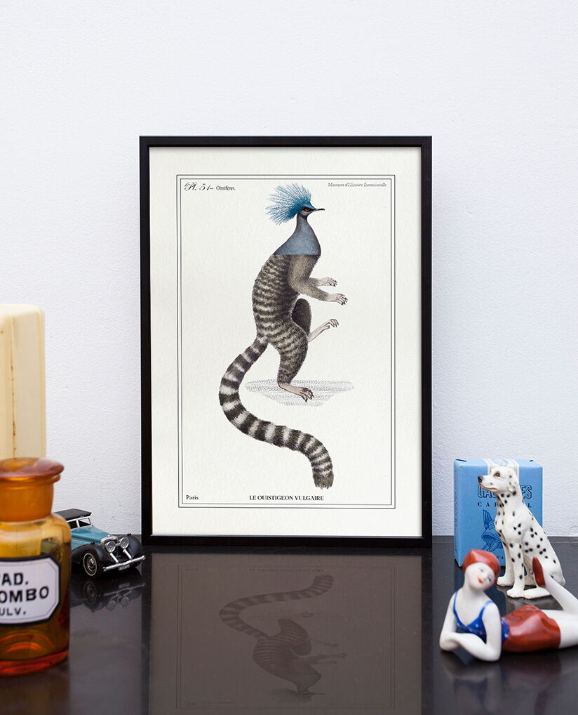 Chimera lithograph engraving animal - the marmoset