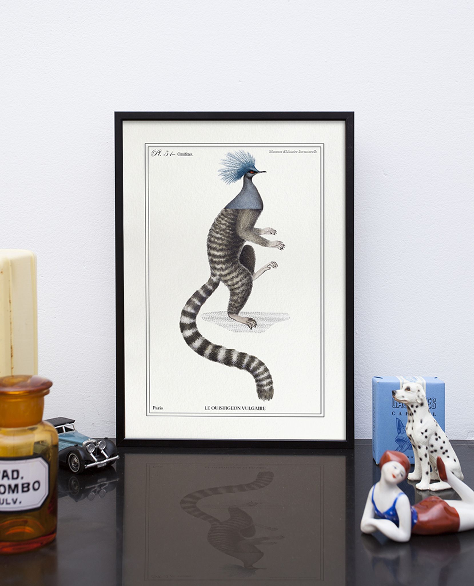 Chimera lithograph engraving animal - the marmoset