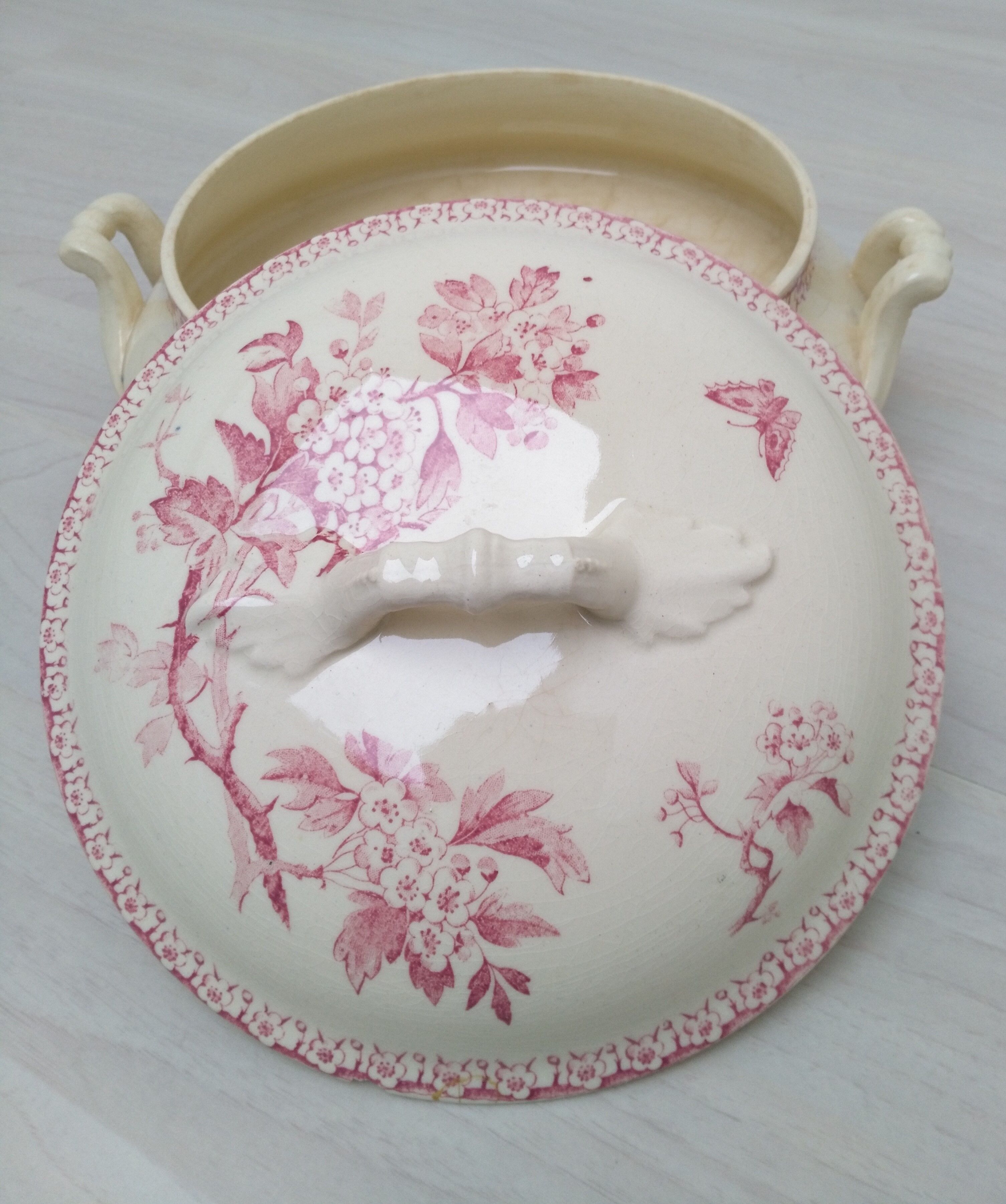 Iron earth tureen from Gien model Pink Hawthorn