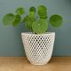 Vintage woven ceramic plant pot
