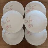 Assiettes en porcelaine motif fleurs pastel