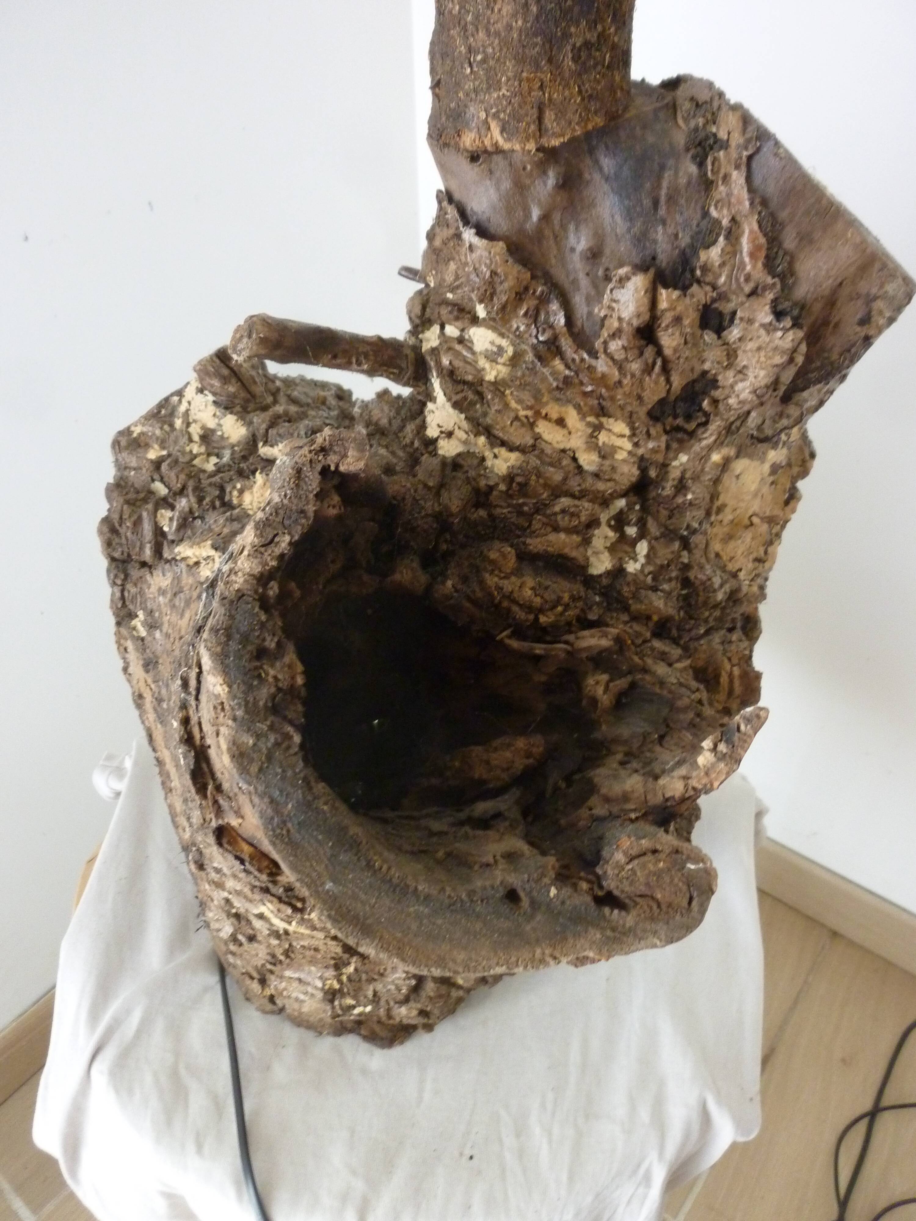 Brutalist turned wood lamp