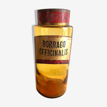 Bocal de pharmacie « Borrago Officinalis  » verre brun