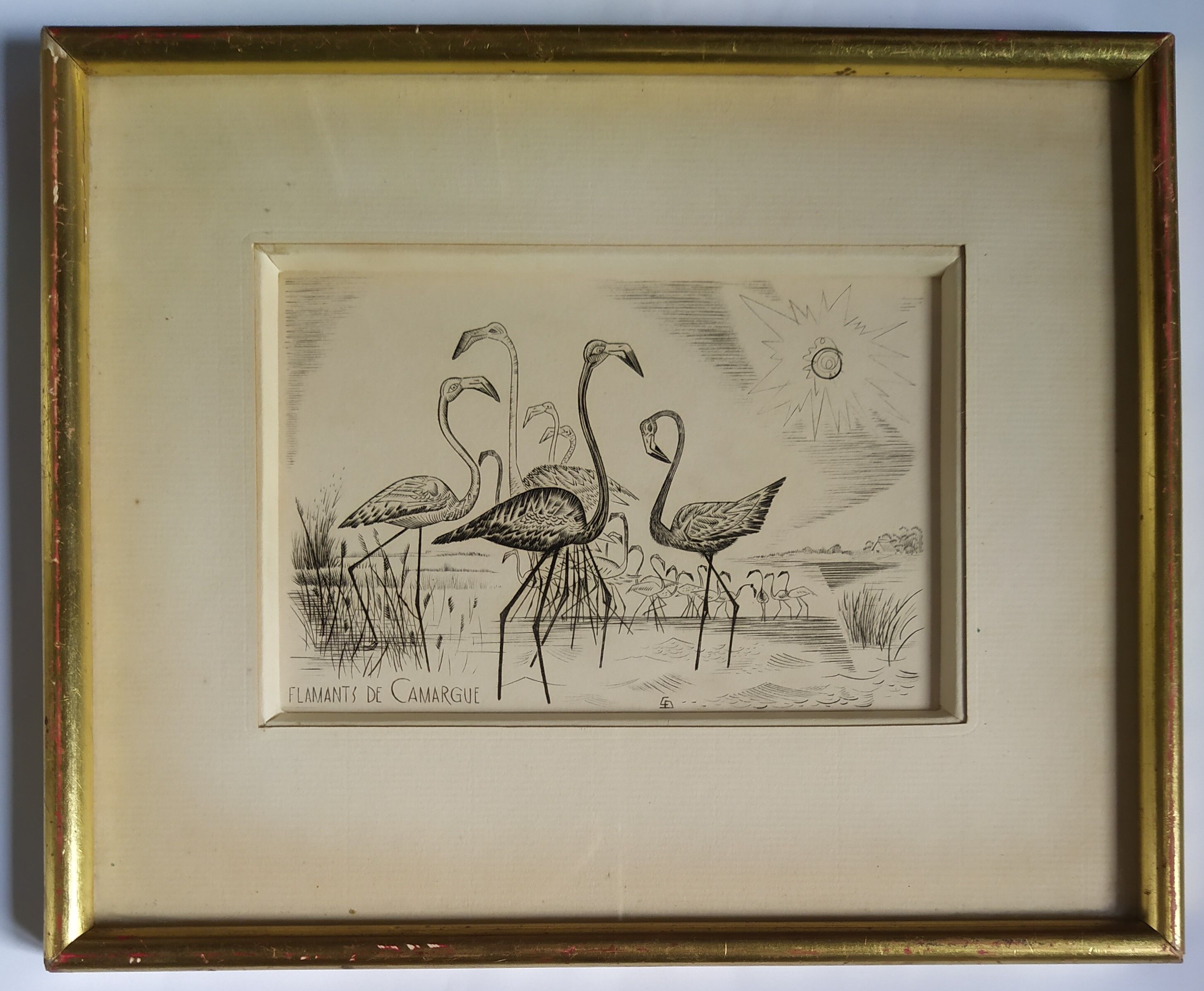 Engraving " flamands de camargue " 1950's