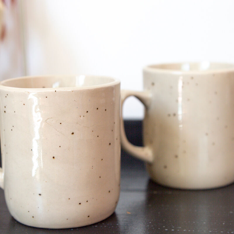 2 tea cups in speckled sandstone flowers rosa canina