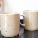 2 tea cups in speckled sandstone flowers rosa canina