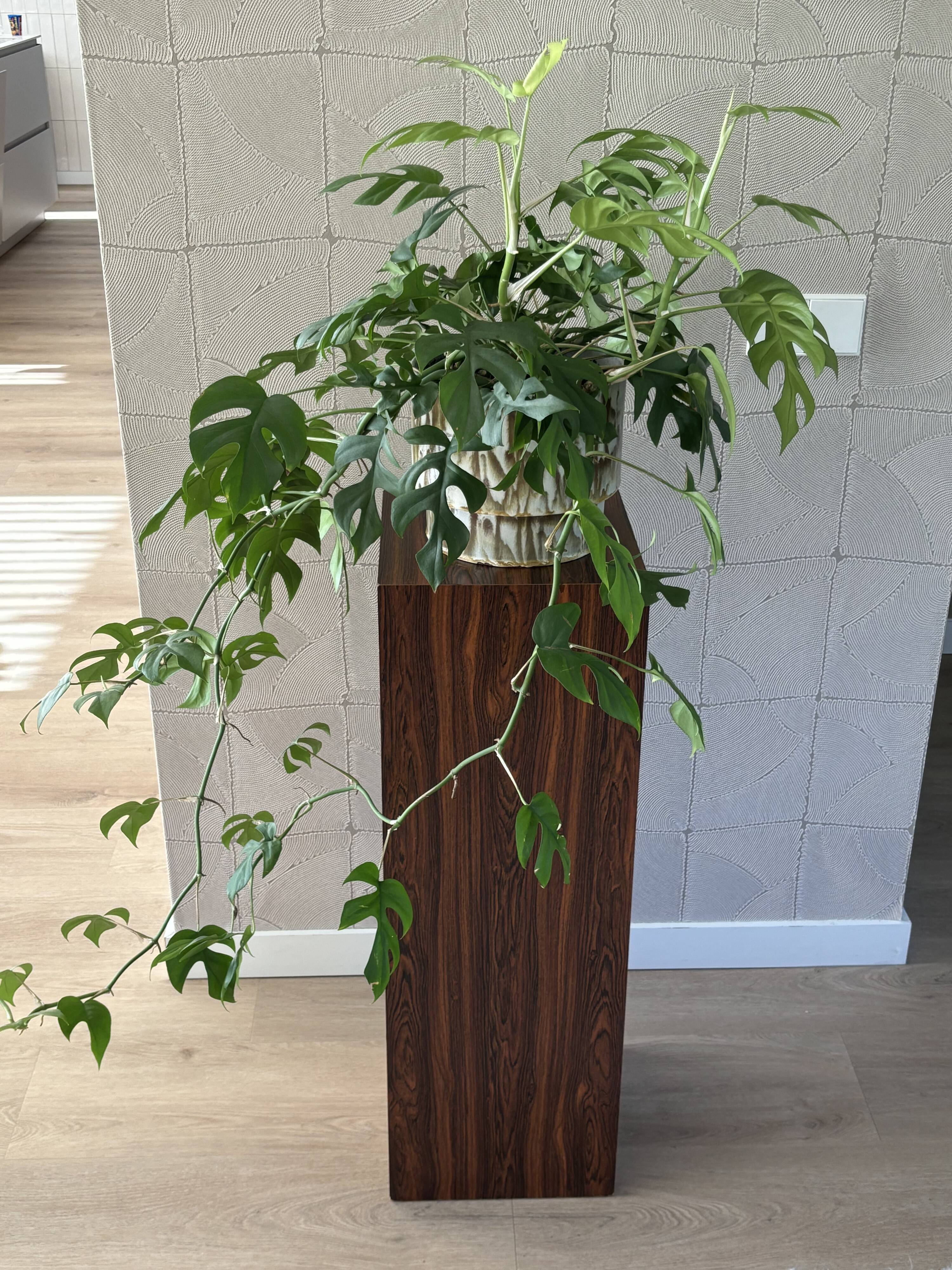 Vintage plant column in rosewood veneer 80s design