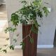 Vintage plant column in rosewood veneer 80s design