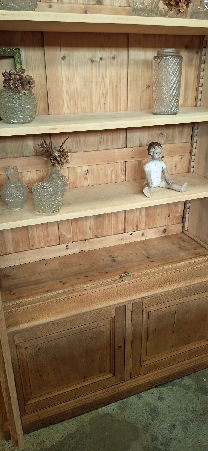 Grande vitrine ancienne de musée