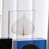 Presse papier en résine avec inclusion d'une feuille d'arbre, années 70