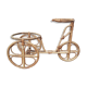 Bike gate plant