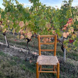Provencal chair seated straw