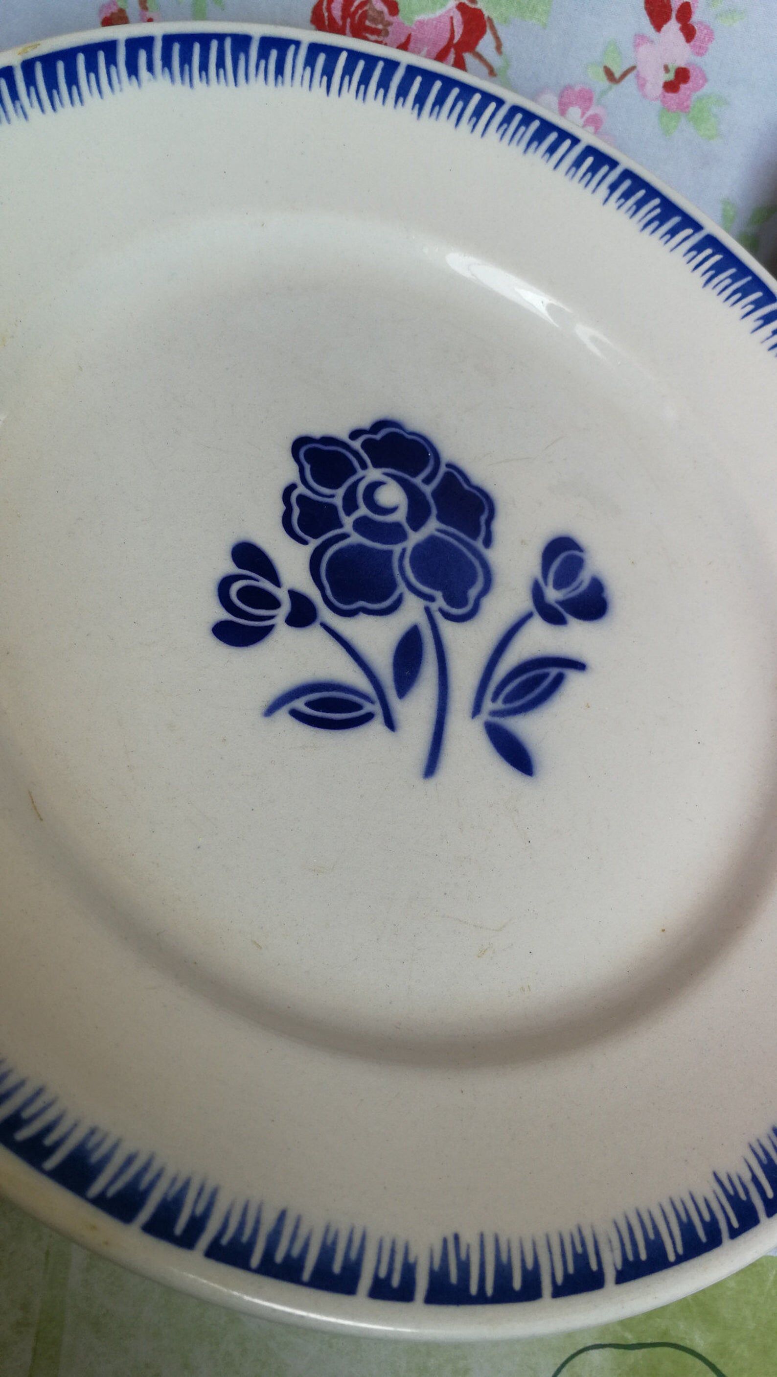 4 old flat plates Badonviller blue rose