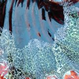 Vallauris style dishes