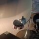 Topo lamp by Joe Colombo for Stilnovo 1970