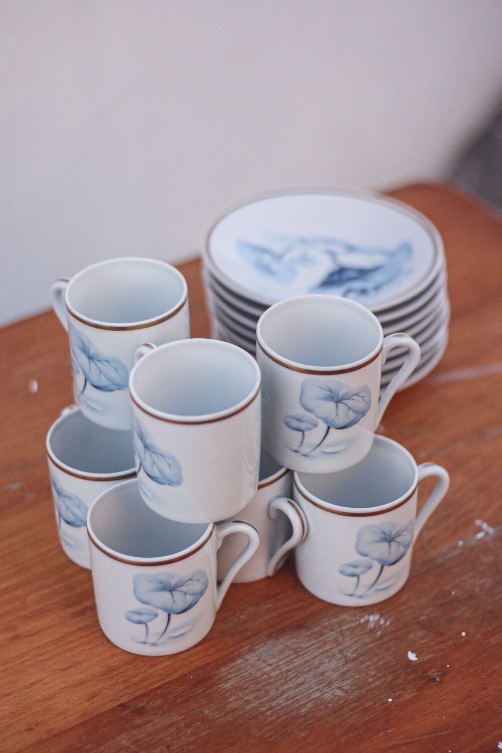 Set of 8 cups and saucers Deshoulieres Limoges