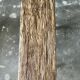 Small organic bench in blond Asian teak quadripod - Tujuh
