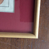 Frame with botanical board Benard Direxit