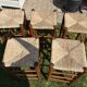 5 Charlotte Perriand-style wooden and straw bar stools