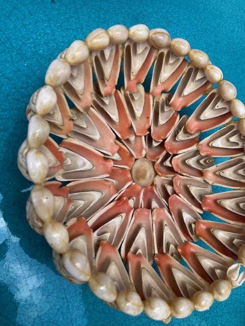 Shell bowl from the 1960s.