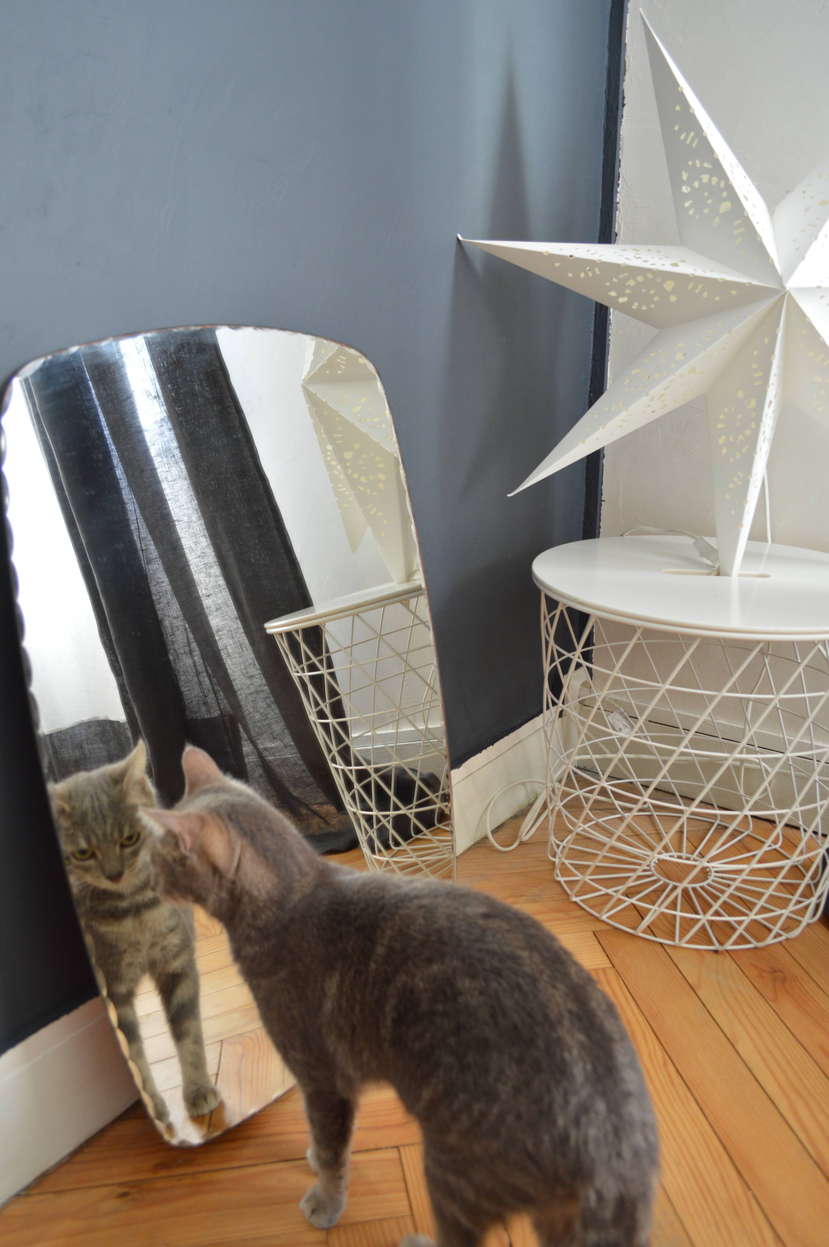 Bevelled rectangular mirror