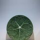 Vintage barbotine dish in the shape of a green cabbage leaf, Portugal