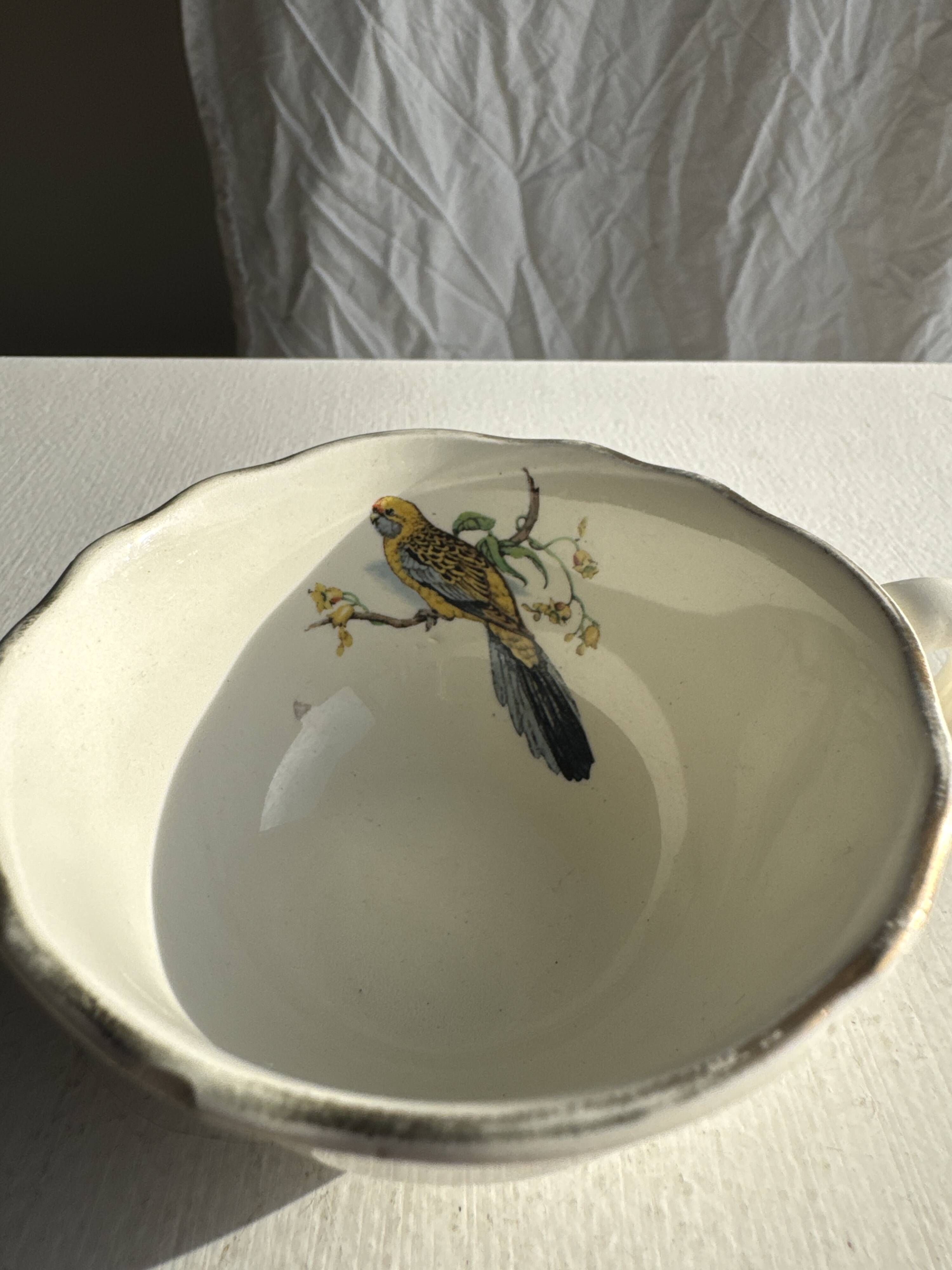 Lot de 6 tasses à café à motifs d'oiseaux anciennes