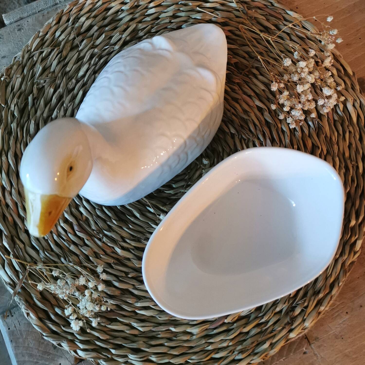 Barbotine Terrine White Goose Michel Caugant