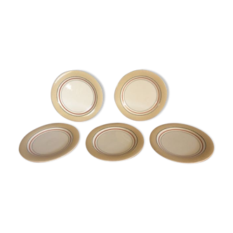 5 plates 50's suite Salins