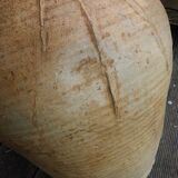 Jar terracotta