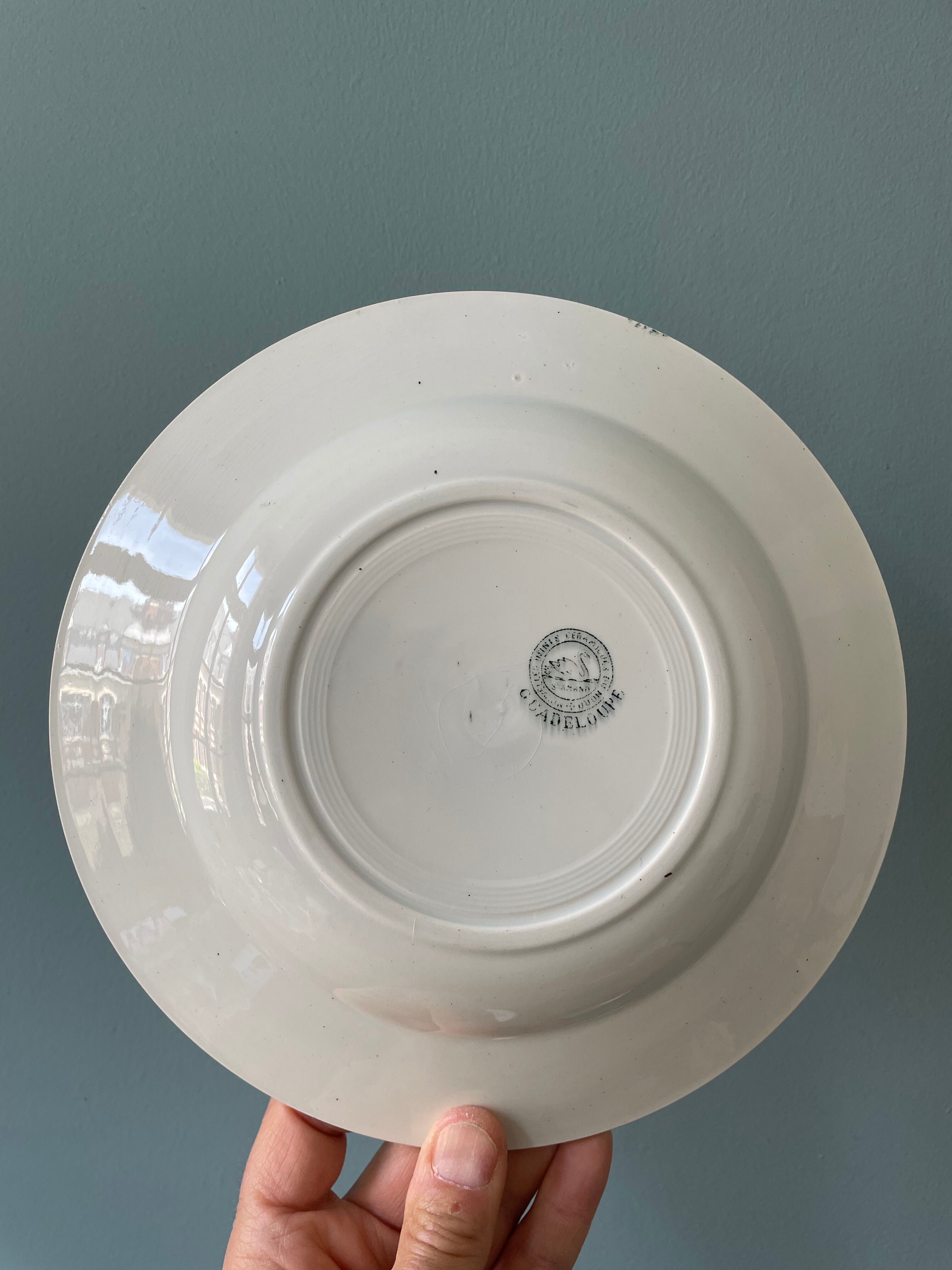 Set of 7 mismatched hollow plates Terre de Fer XIXth