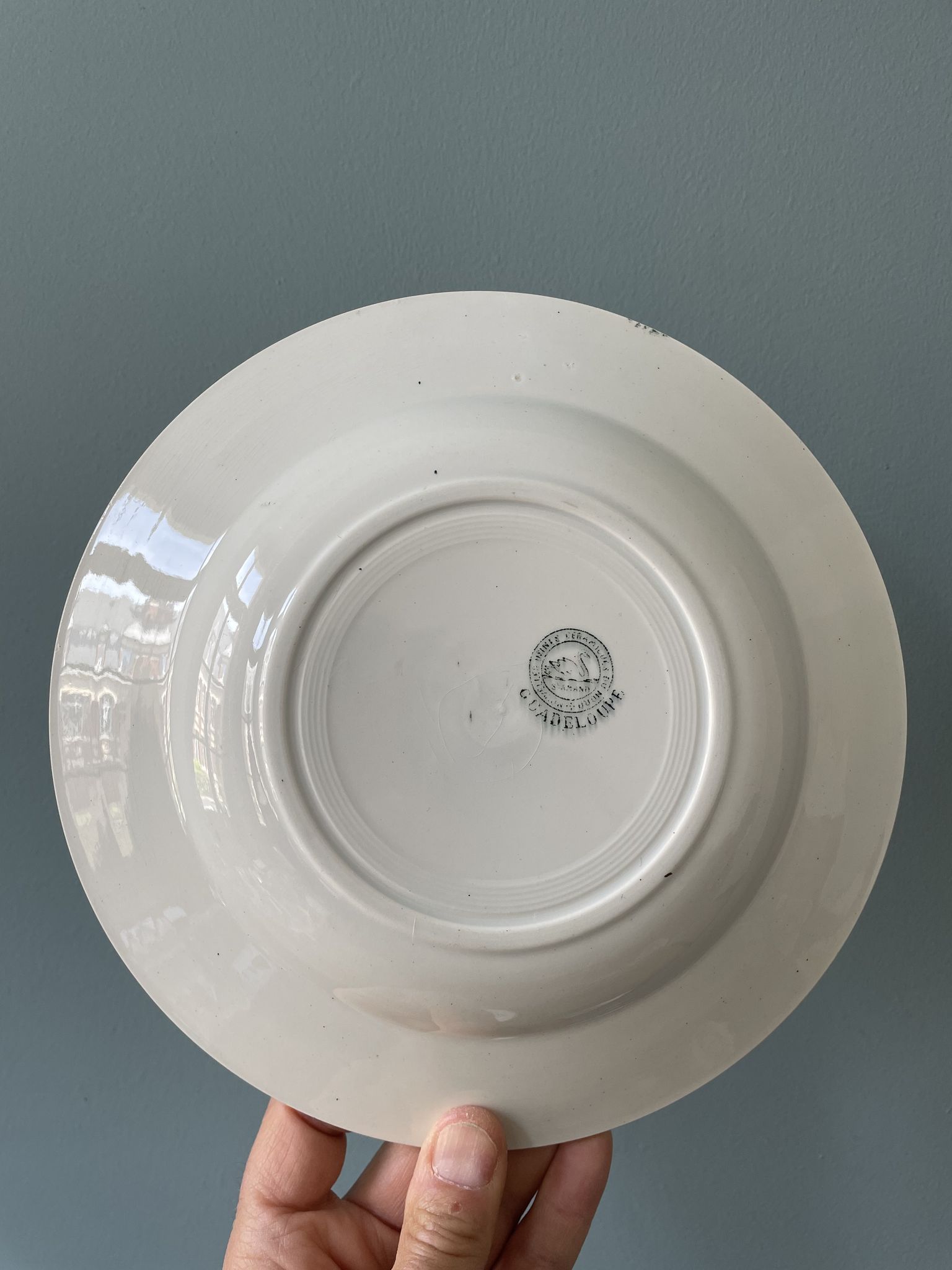 Set of 7 mismatched hollow plates Terre de Fer XIXth
