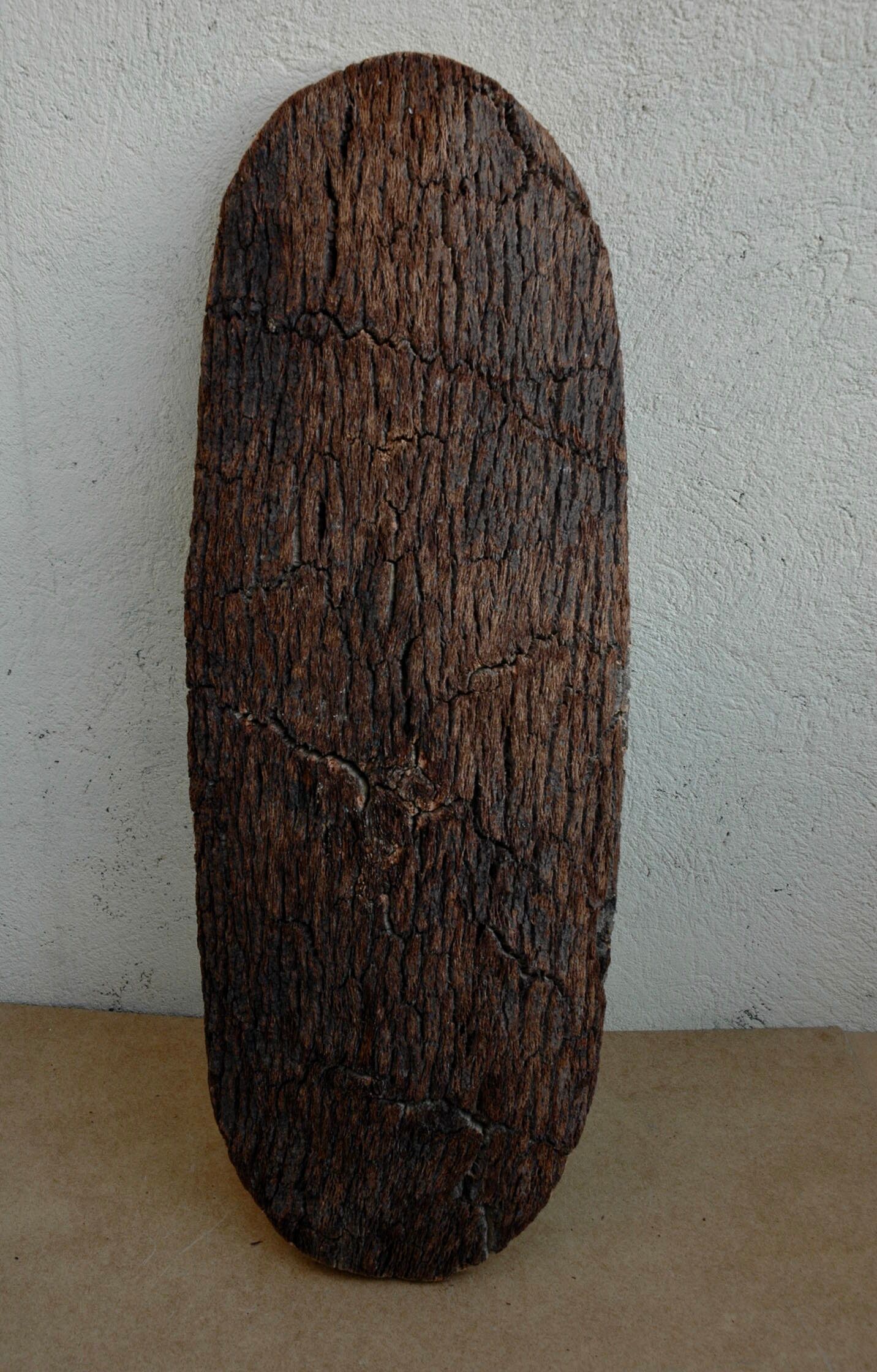 Cut in tree bark