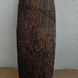 Cut in tree bark