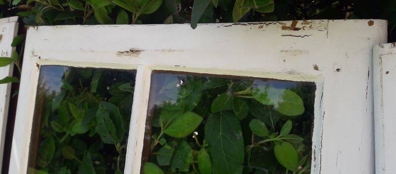 Lot of 4 oak windows H141xL112/117cm old small panes