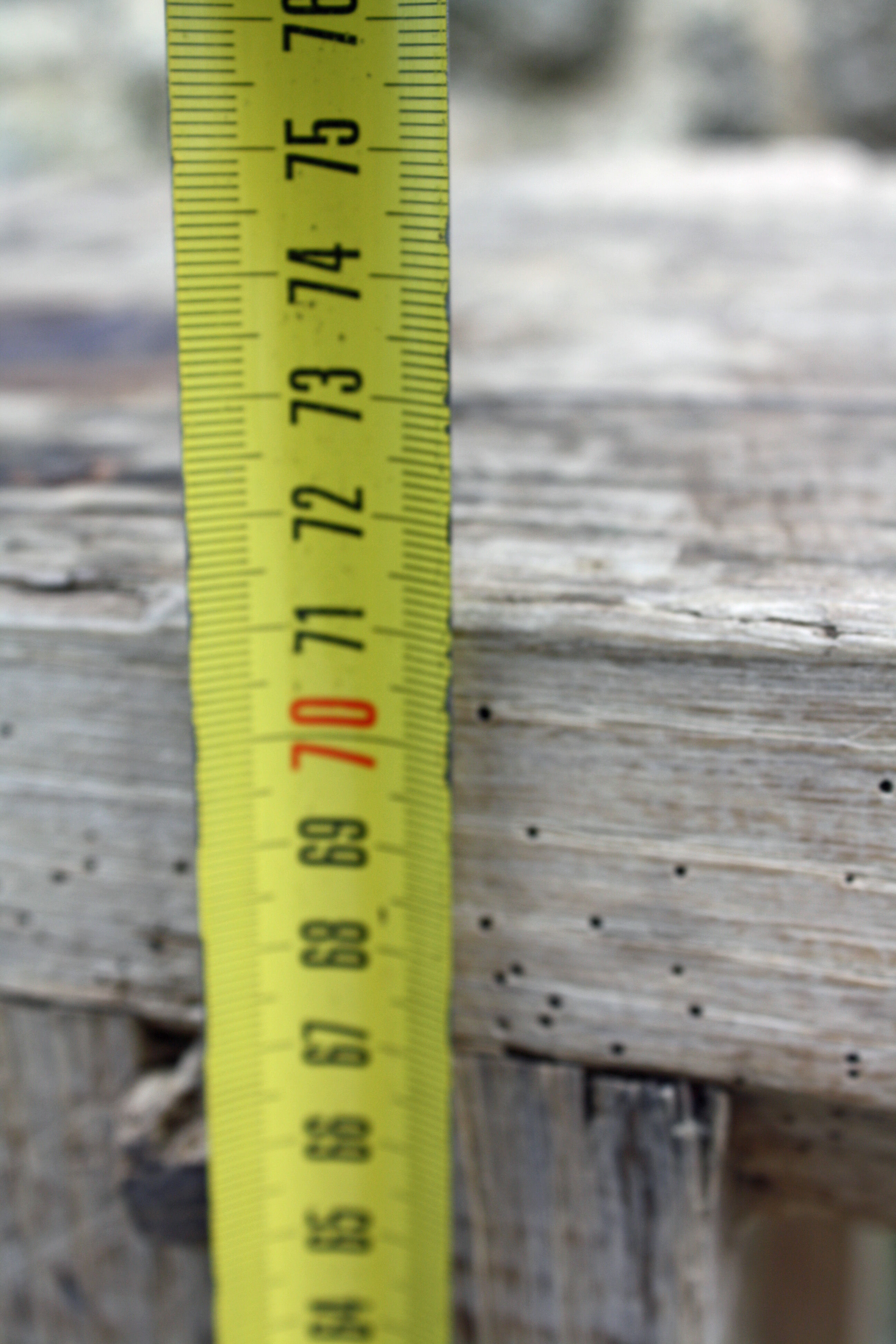 Old wooden Workbench