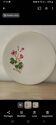Gien porcelain plate