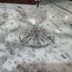 Set of 4 crystal stemmed glasses daum model boléro