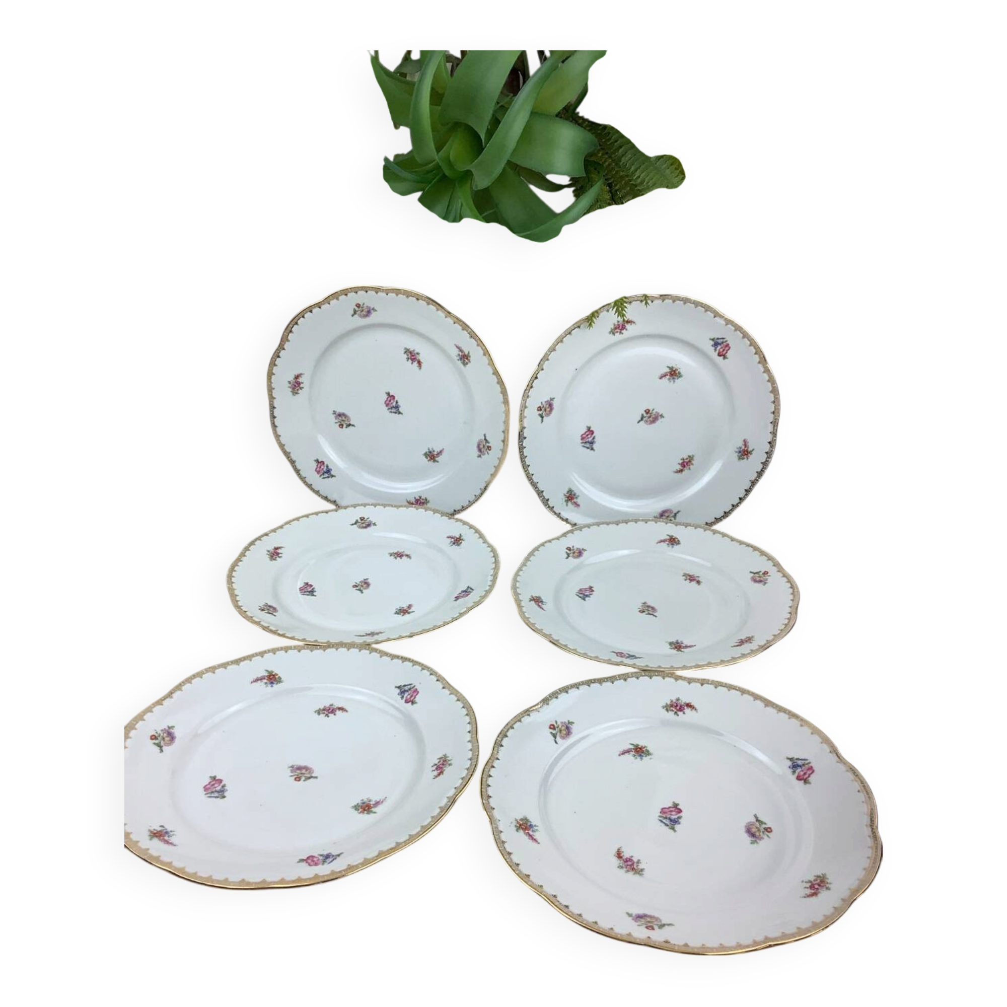 6 flat plates porcelain Limoges France