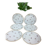 6 flat plates porcelain Limoges France