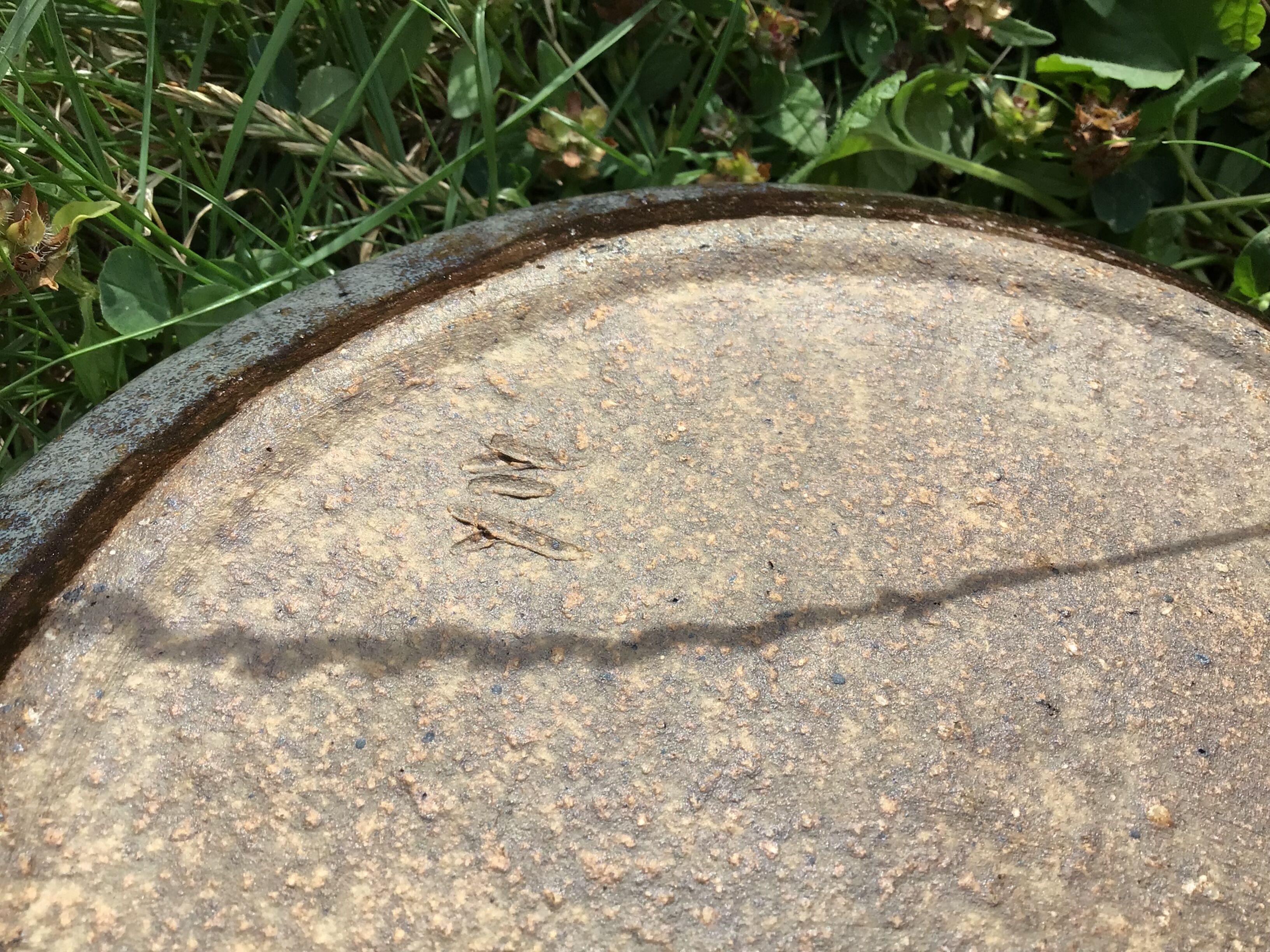 4 White compartmentalized handmade stoneware plates