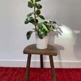 Old wooden tripod stool