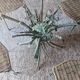 Table ronde en verre & 4 chaises