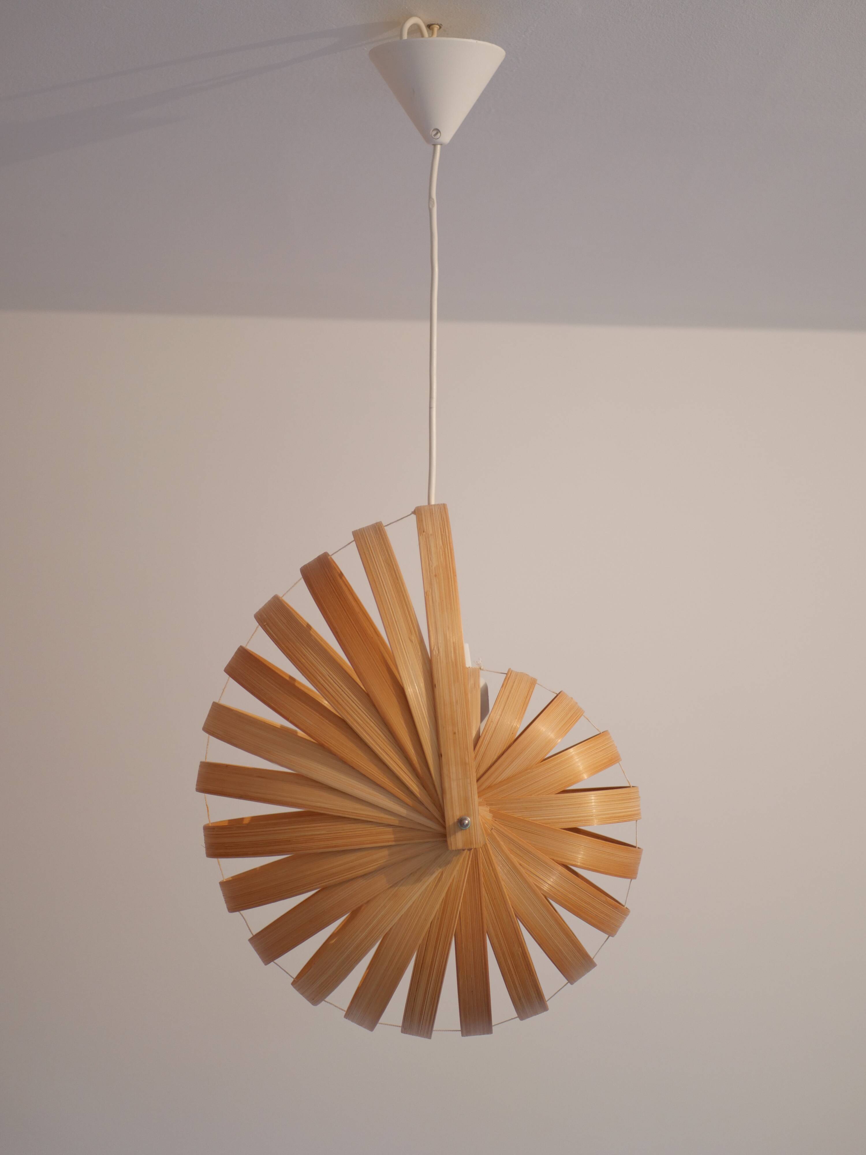 Nautilus bamboo pendant light